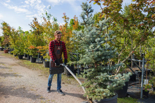 Best Weed Control  in Rockton, IL